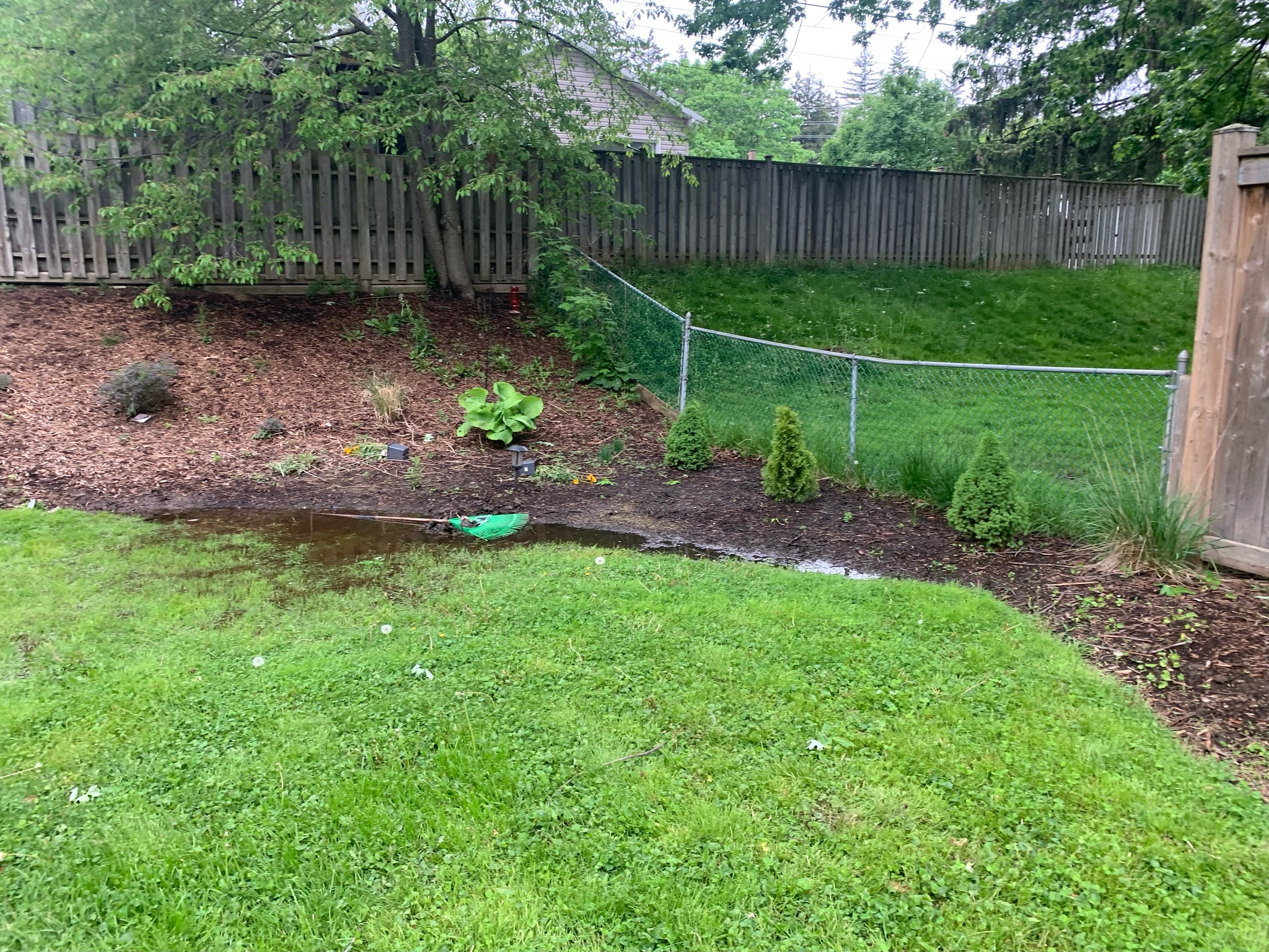 Yard drainage problem with water pooling near garden bed in London Ontario Yard drainage problem with water pooling near garden bed in London Ontario
