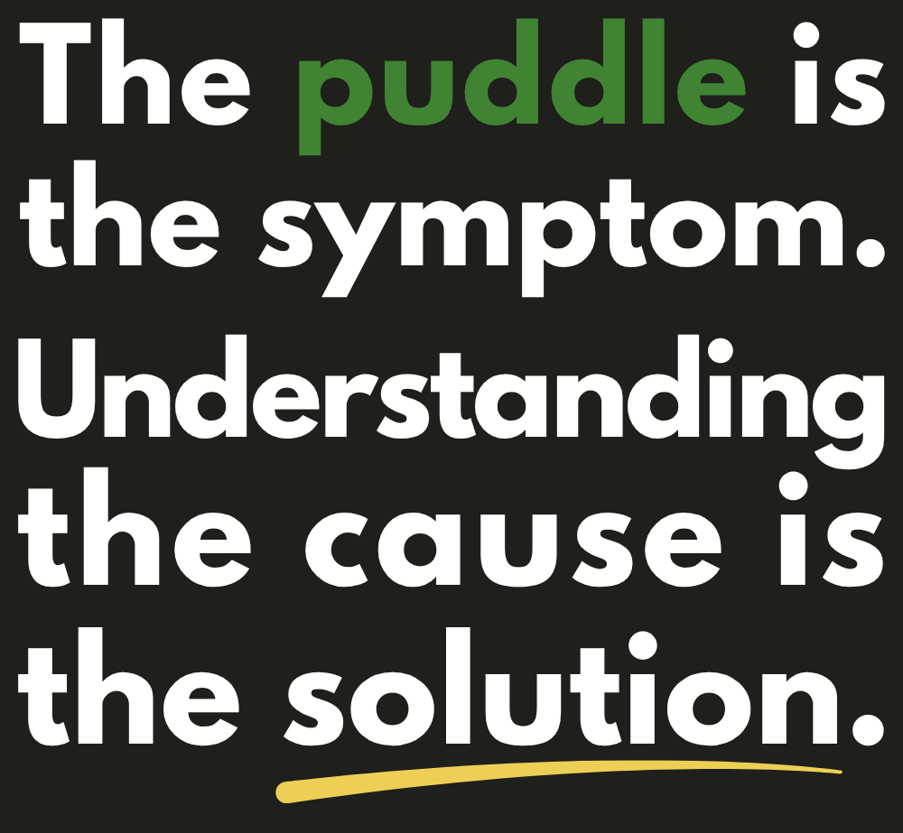 The puddle is the symptom. Understanding the cause is the solution. (3) Lawn Drainage London brand statement: assessment-first approach to identifying the cause of drainage problems.